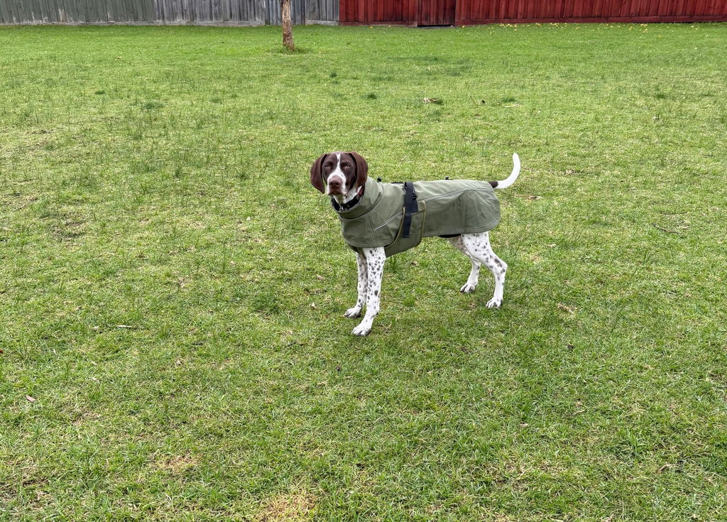 Waterproof Jacket - Green