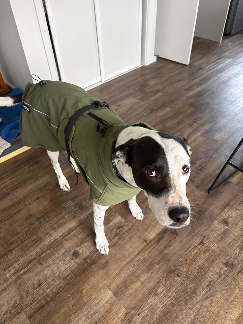 Waterproof Jacket - Green