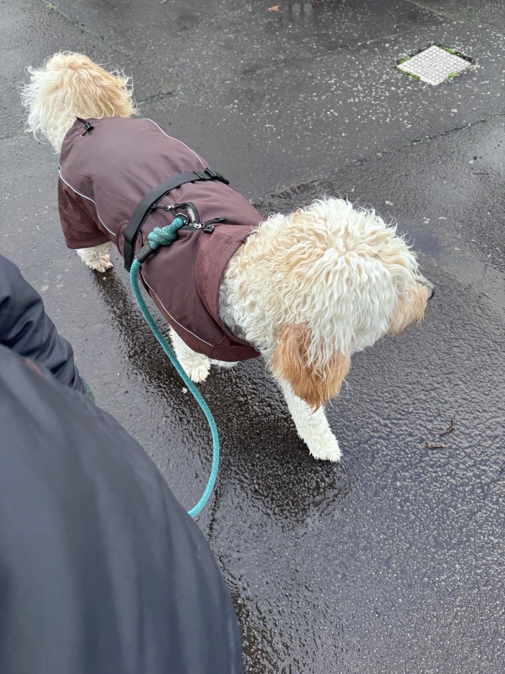 Waterproof Jacket - Maroon Brown