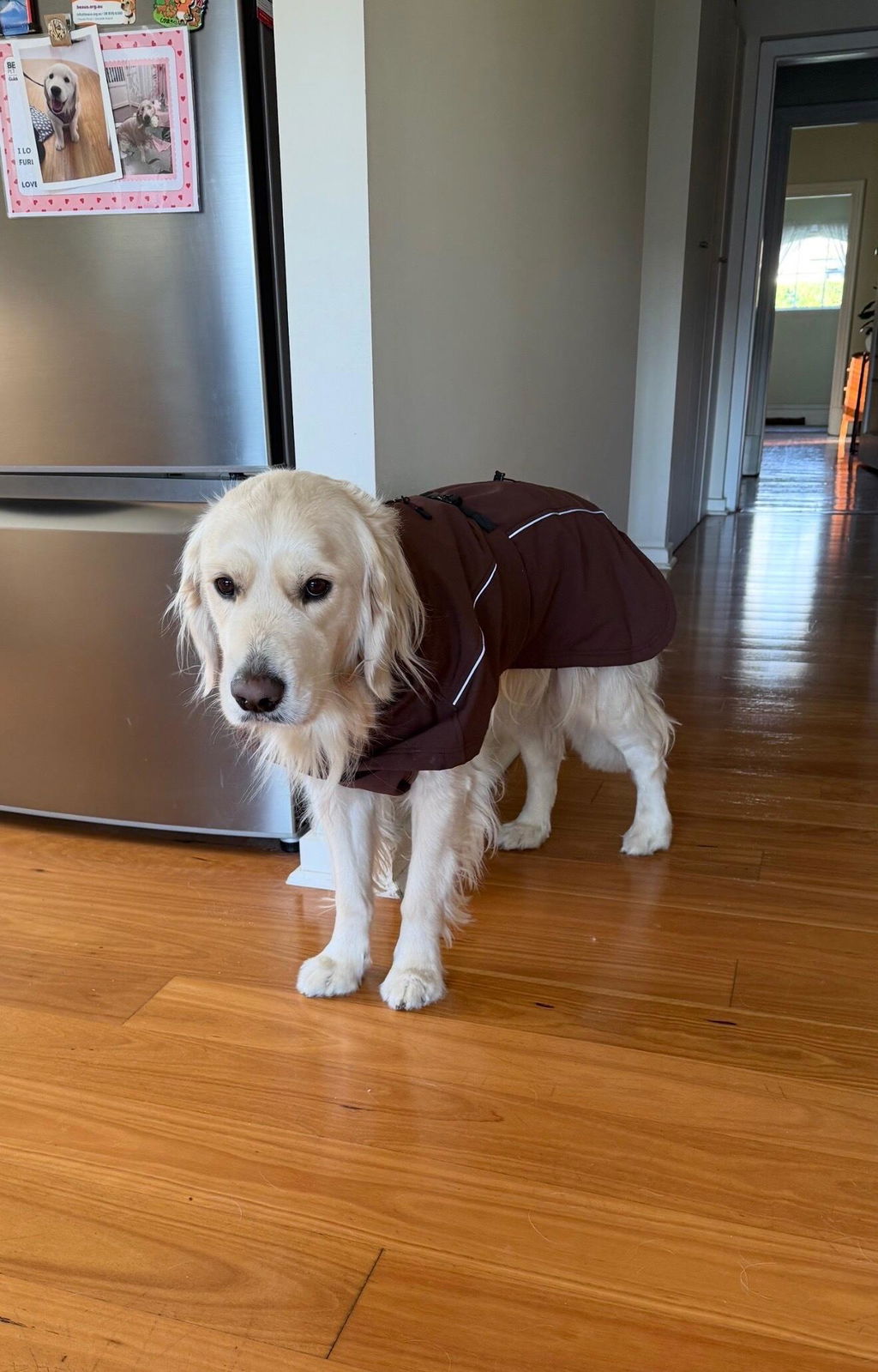 Waterproof Jacket - Maroon Brown
