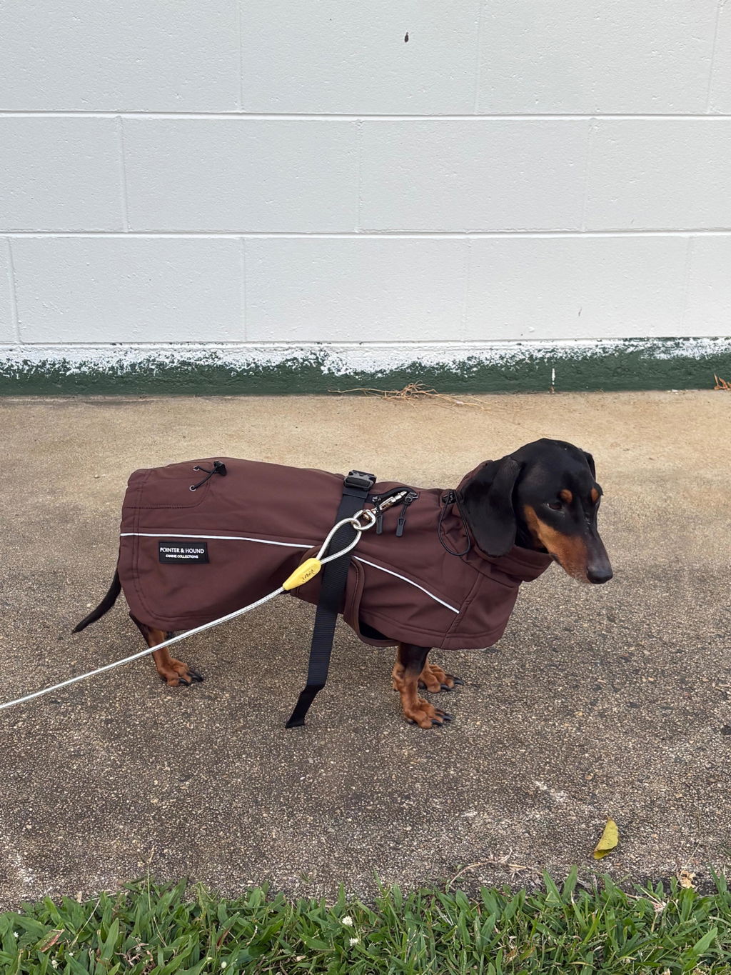 Waterproof Jacket - Maroon Brown