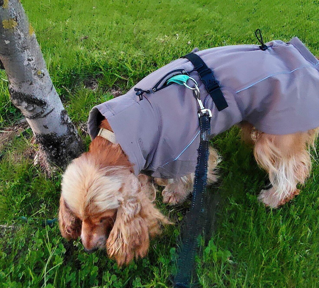 Waterproof Jacket - Mushroom