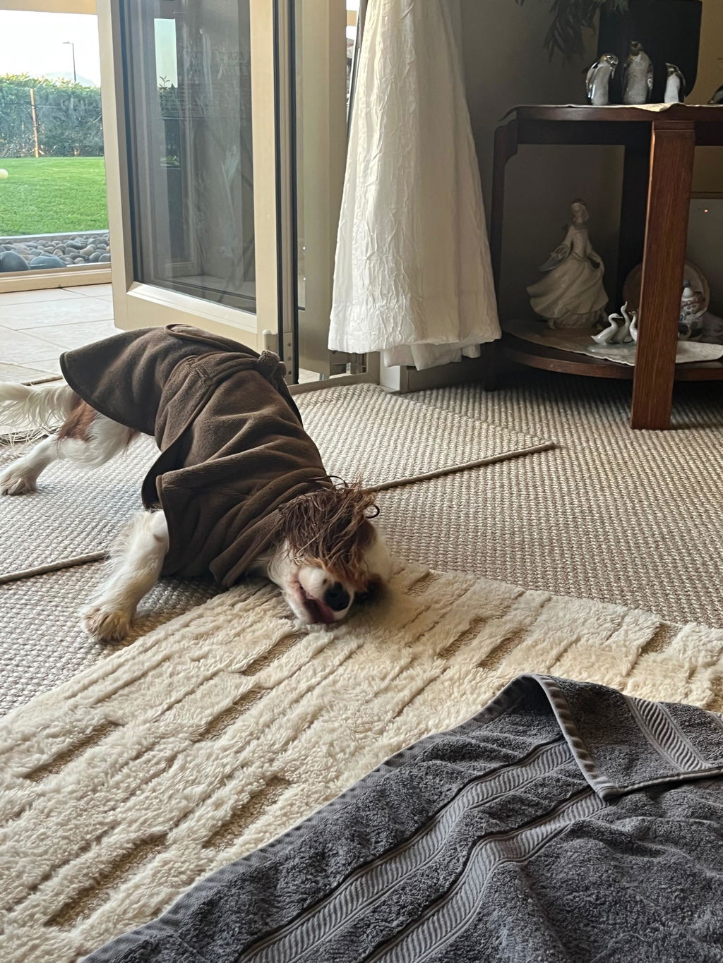Drying Coat