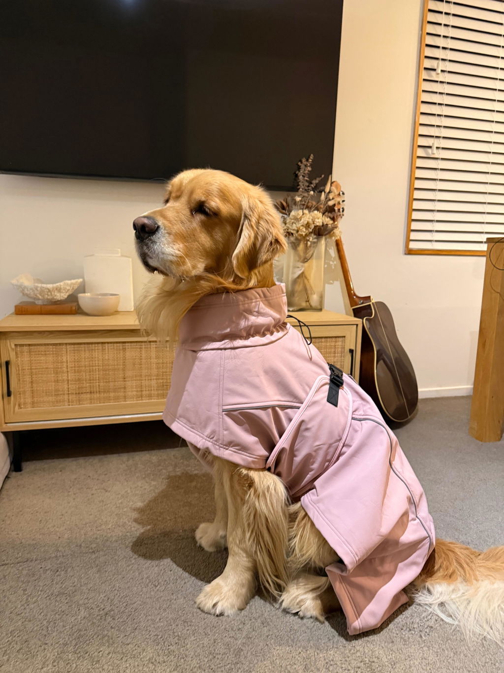 Waterproof Jacket - Pink