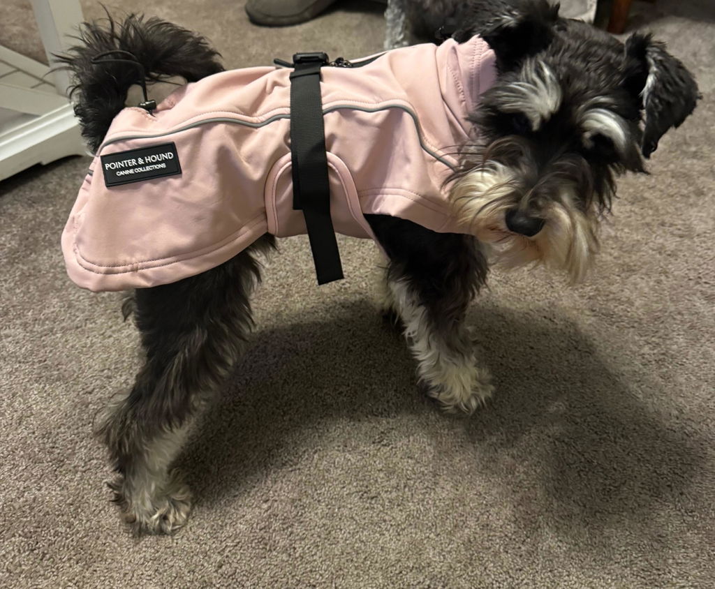 Waterproof Jacket - Pink