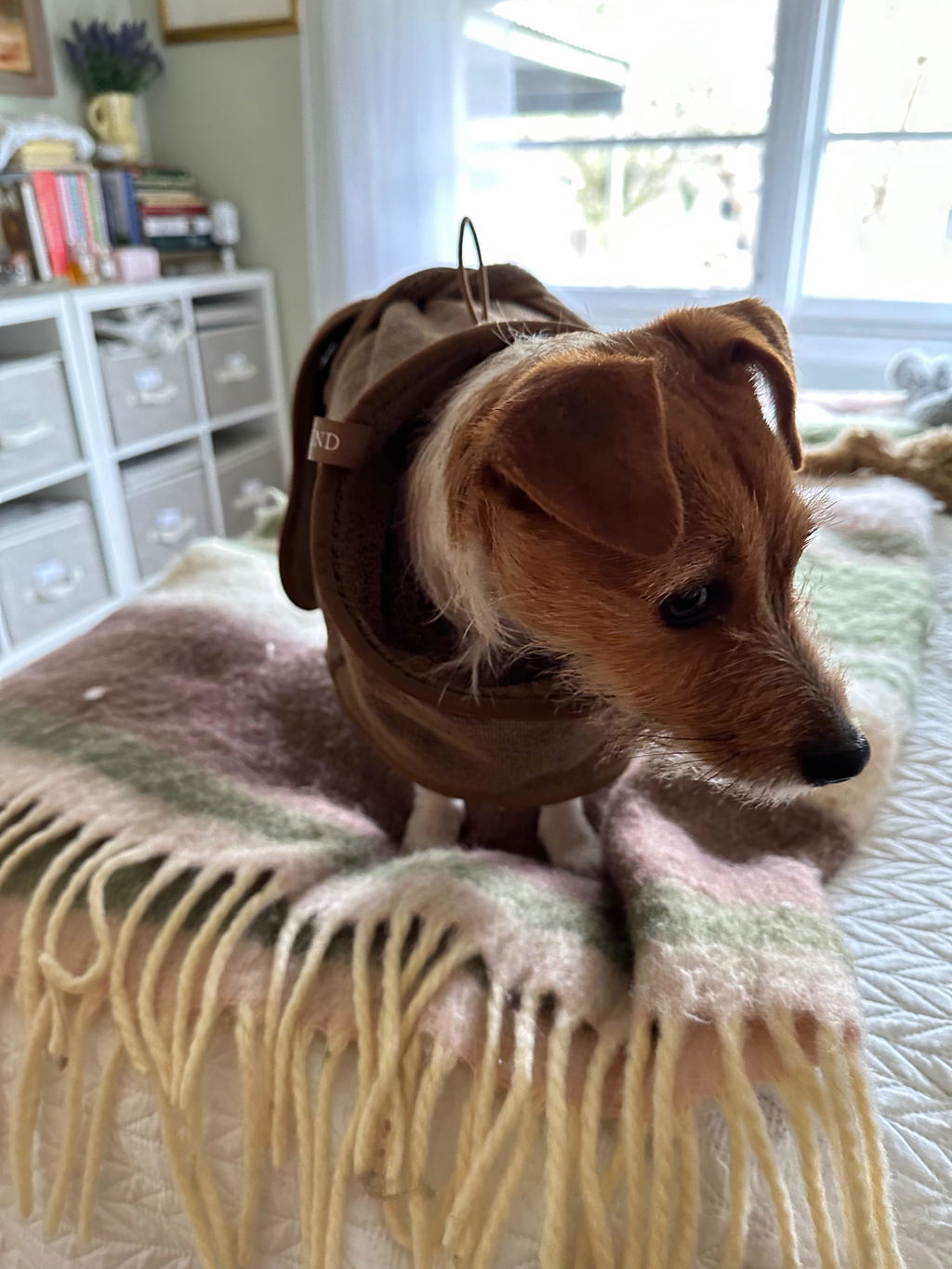 Drying Coat