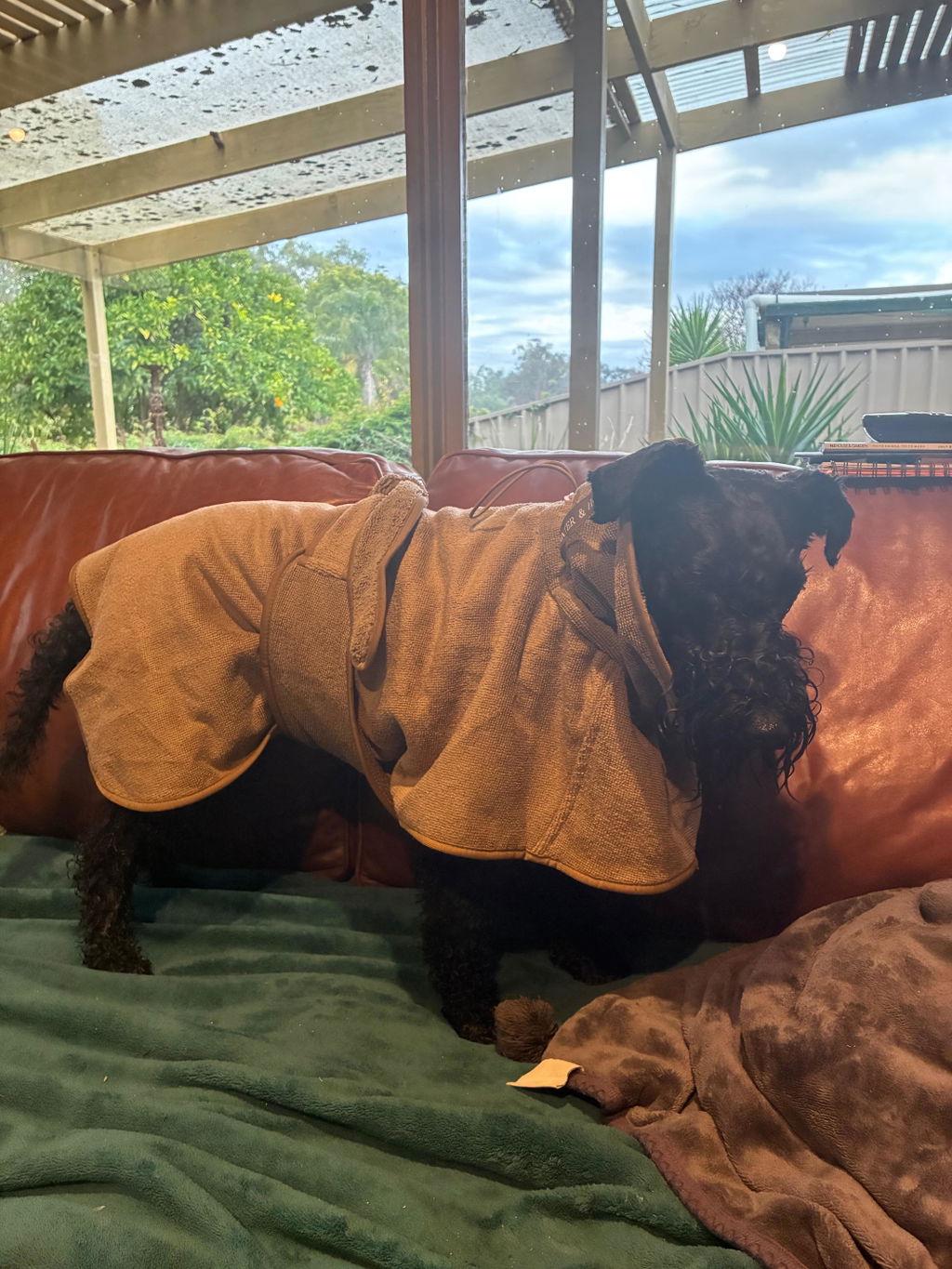 Drying Coat