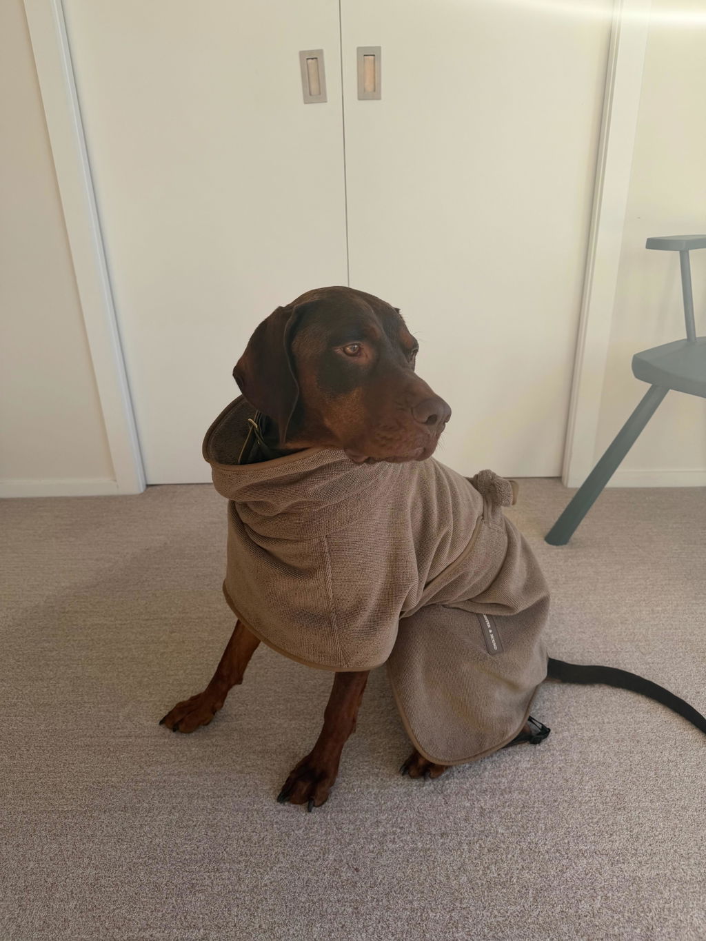 Drying Coat