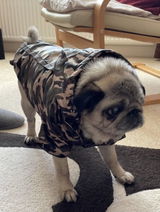 Camouflage Fleece Lined Rainstorm Dog Rain Coat