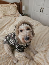 Luxury Camouflage Fish Tail Parka Dog Coat