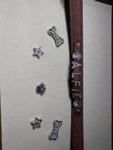 Personalised Leather Dog Collar with Letter Charms