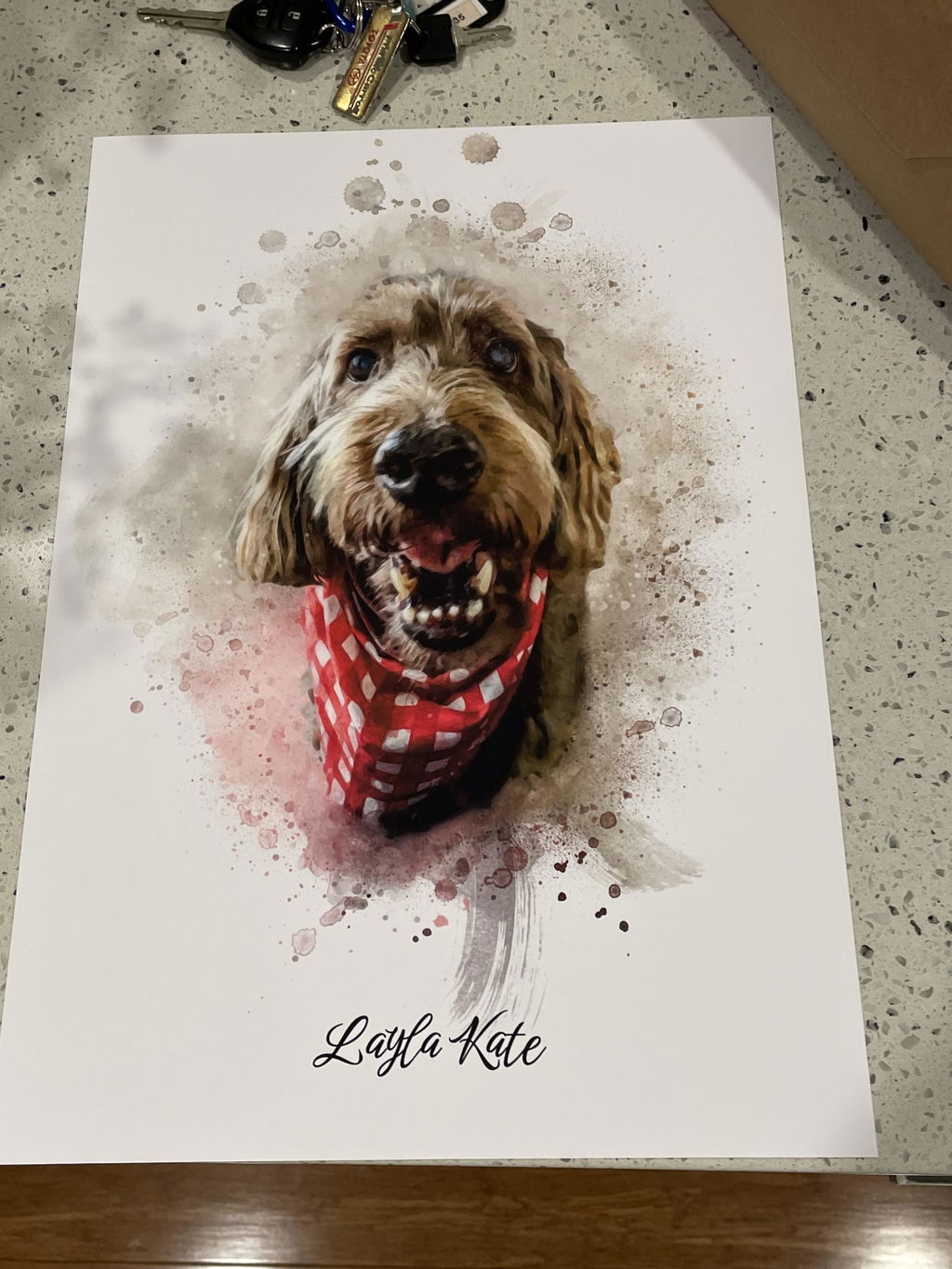 Poster and Paw