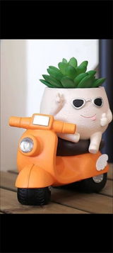 User picture