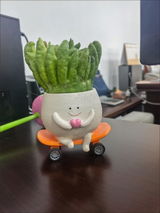 User picture