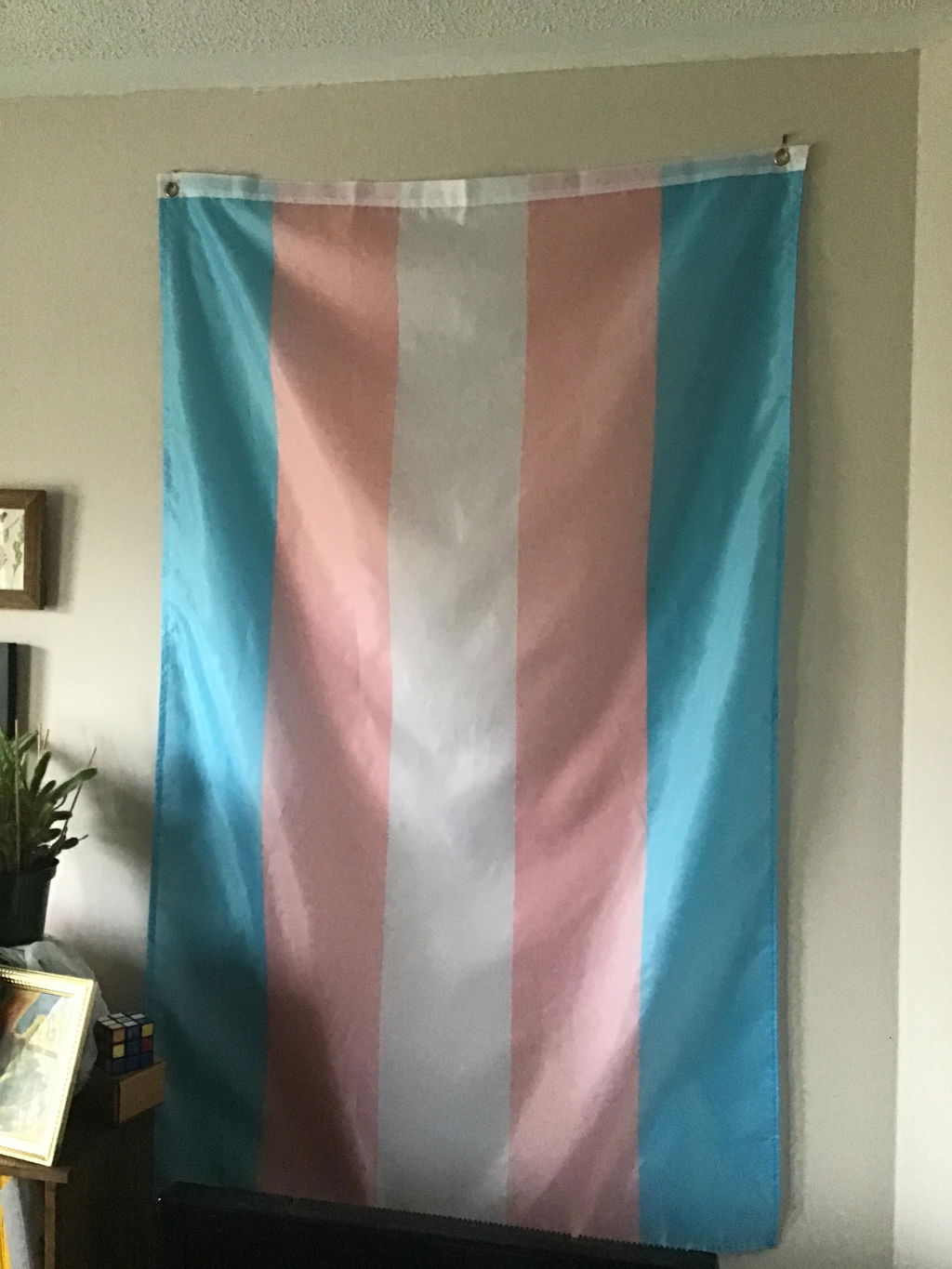 Transgender Pride Flag