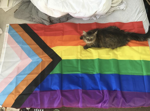 Photo from Tate's review