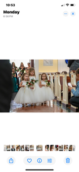 Ivory Lace Tulle TUTU Ball Gown Princess Flower Girl Dress