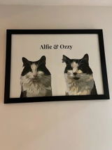 Customer portrait photo from Senan D.'s review