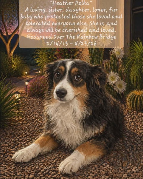 Custom Pet Portrait Crystal Ball LED Night Light - Personalized Memorial Gift for Pet Lovers