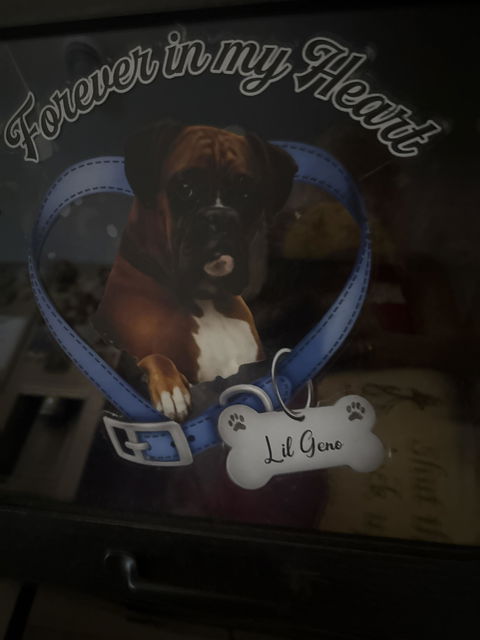 Forever In My Heart - Custom Photo Memorial Car Window Sticker