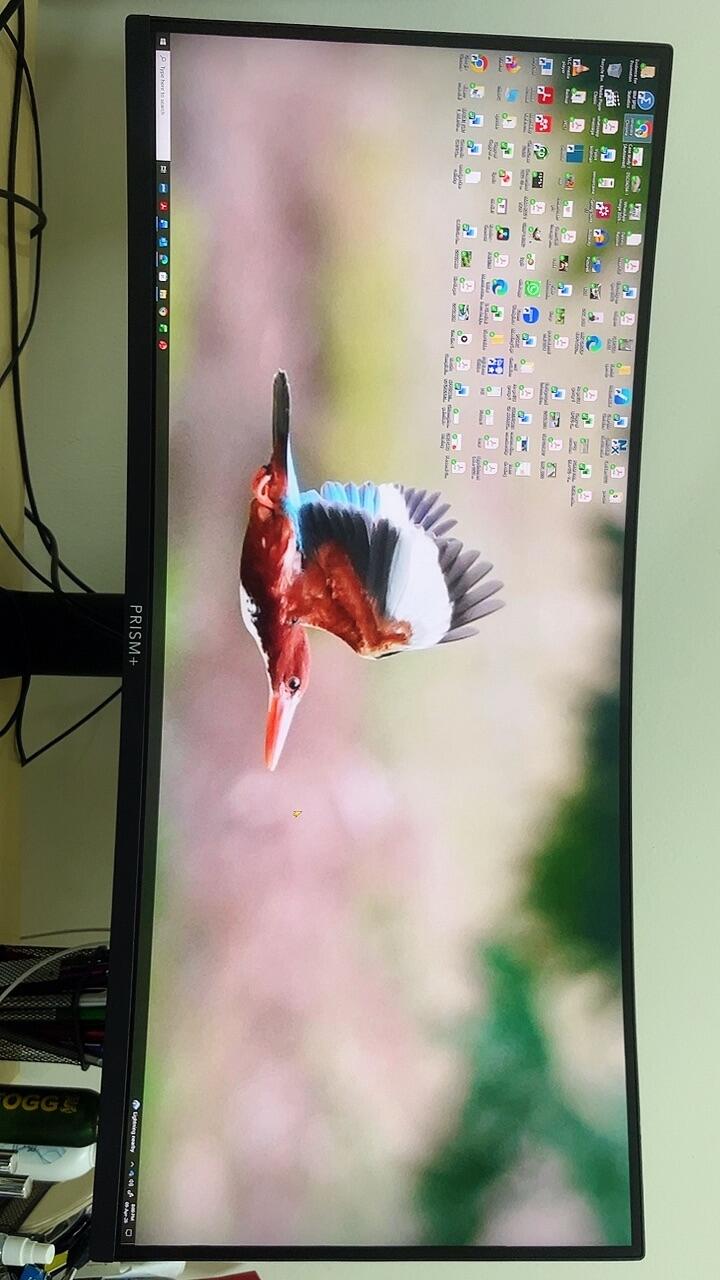 User picture
