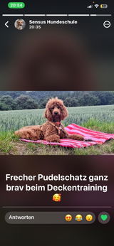 User picture