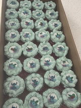 Stitch and Lilo Edible Images - Disney Cupcake / Cookie Round Icing Toppers - Precut - Licensed