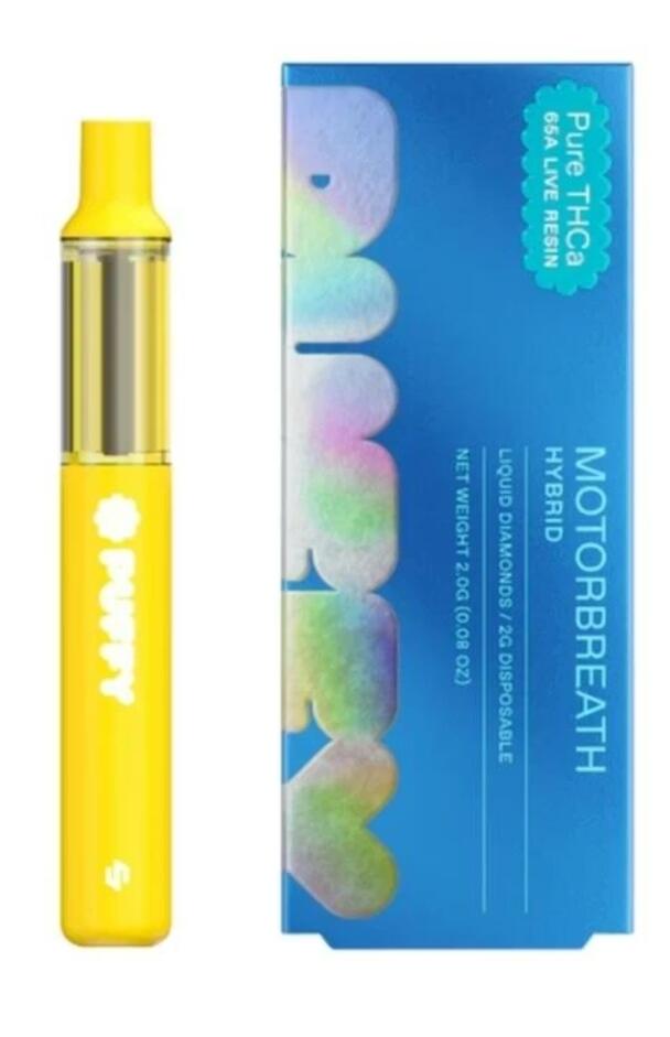 butterscotch disposable vape Butterscotch Pure THCa Live Resin Disposable