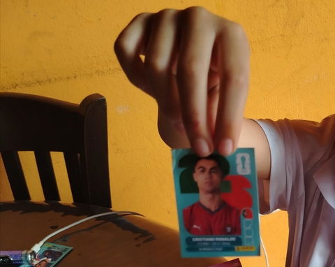 Portugal Panini 2026 (POR)