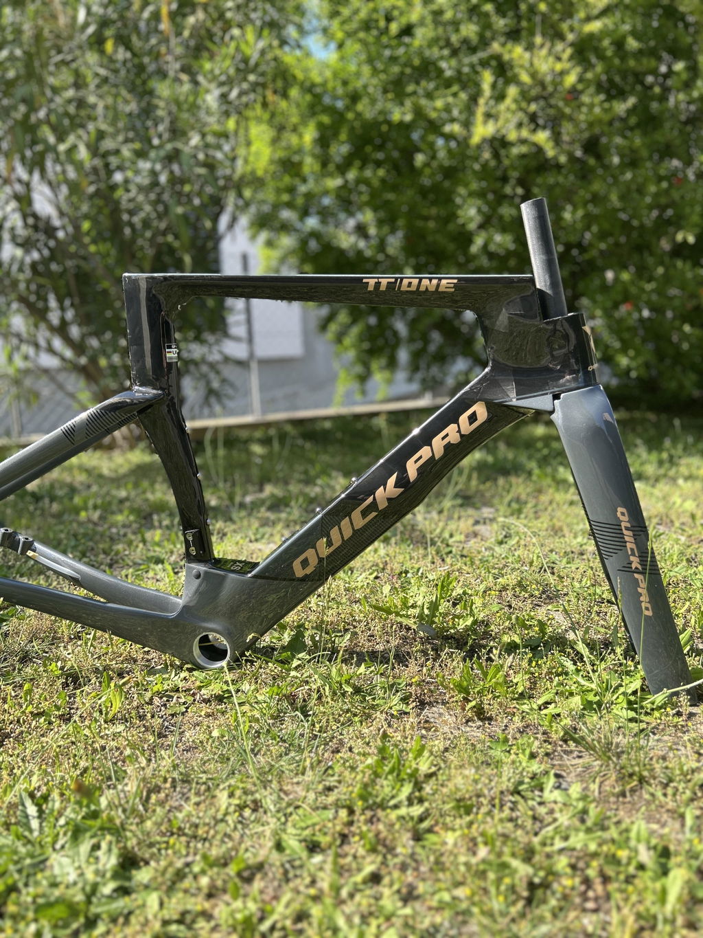 TT:ONE FRAME