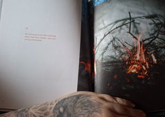 Review picture