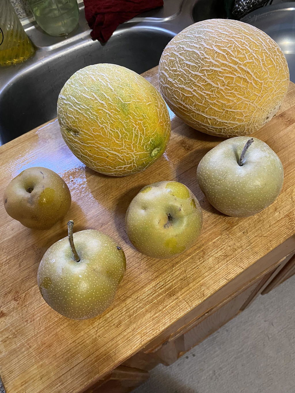 Combination Asian Pear (3 Varieties) - Raintree Nursery