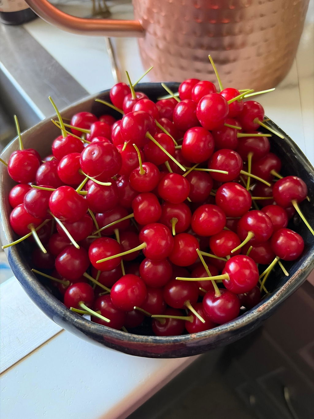 Carmine Jewel Cherry - Raintree Nursery