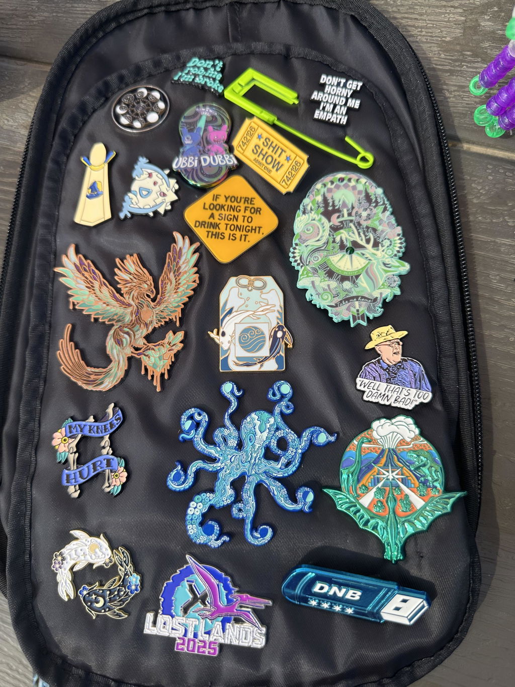 Pin Print – Elytra Pack Edition