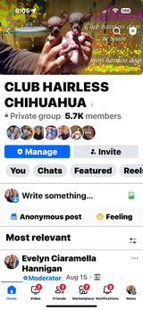 User picture
