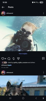 User picture