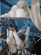 Buyer photo of Cloud Rat Hammock & Hide