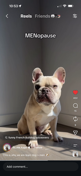 User picture