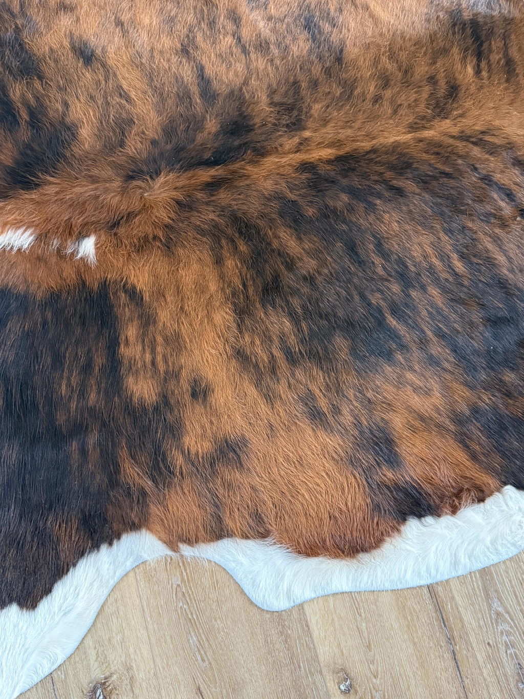 Rodeo Cowhide Rugs
