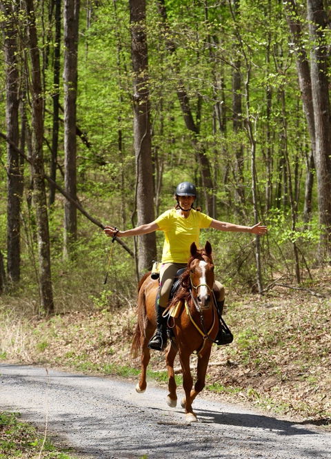 Freeform Ultimate Trail Saddle