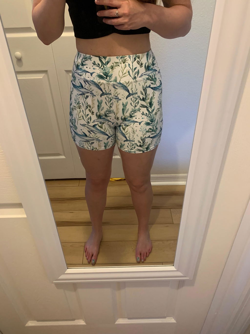 Seascape Dolphin 4" Inch Dive Shorts