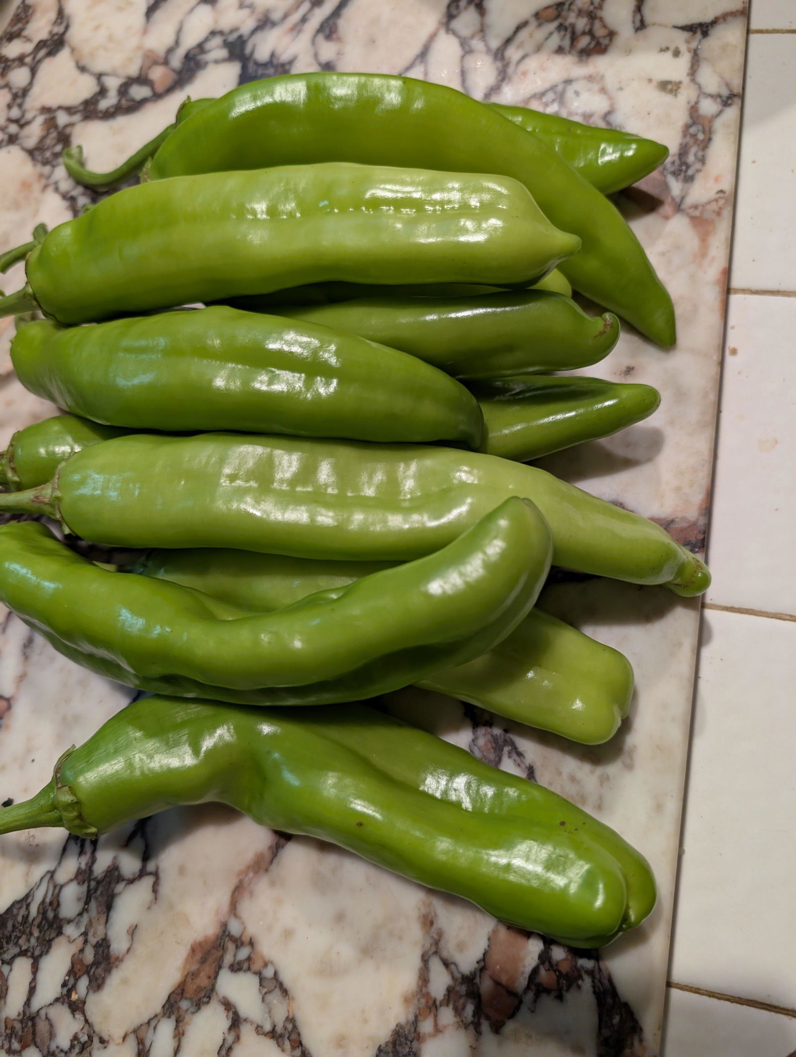 Big Jim Legacy Pepper Seeds - Flavor & Heat - a True New Mexico