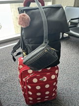 Satchel.
