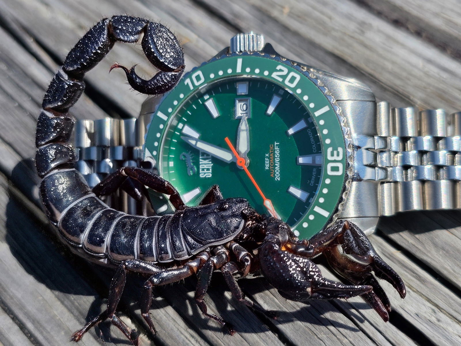 Shop Reef X Diver Mint Green Black DLC Limited Edition 43mm Preorder