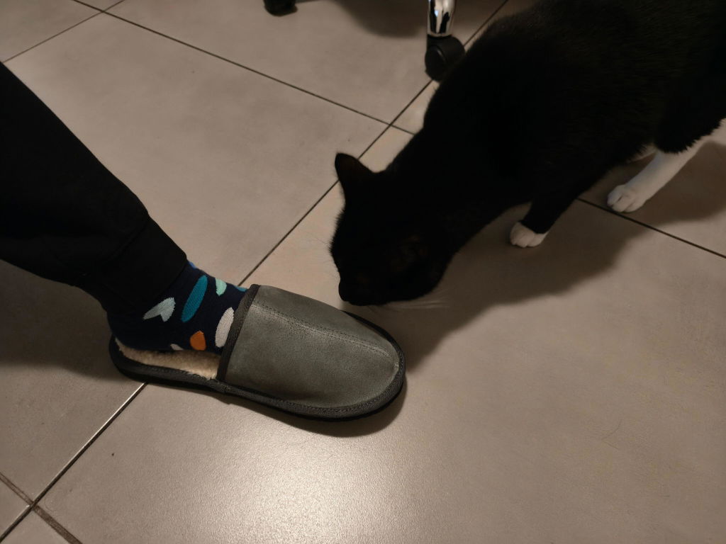 Mule Binding Collar Slippers | Slip-On | Charcoal | Suede & Sheepskin