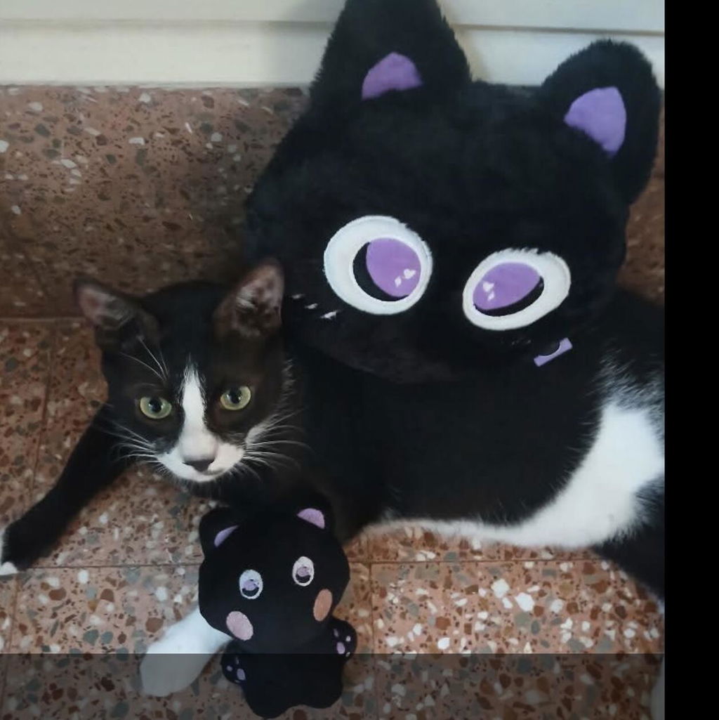 Cutie Mimi Plushie