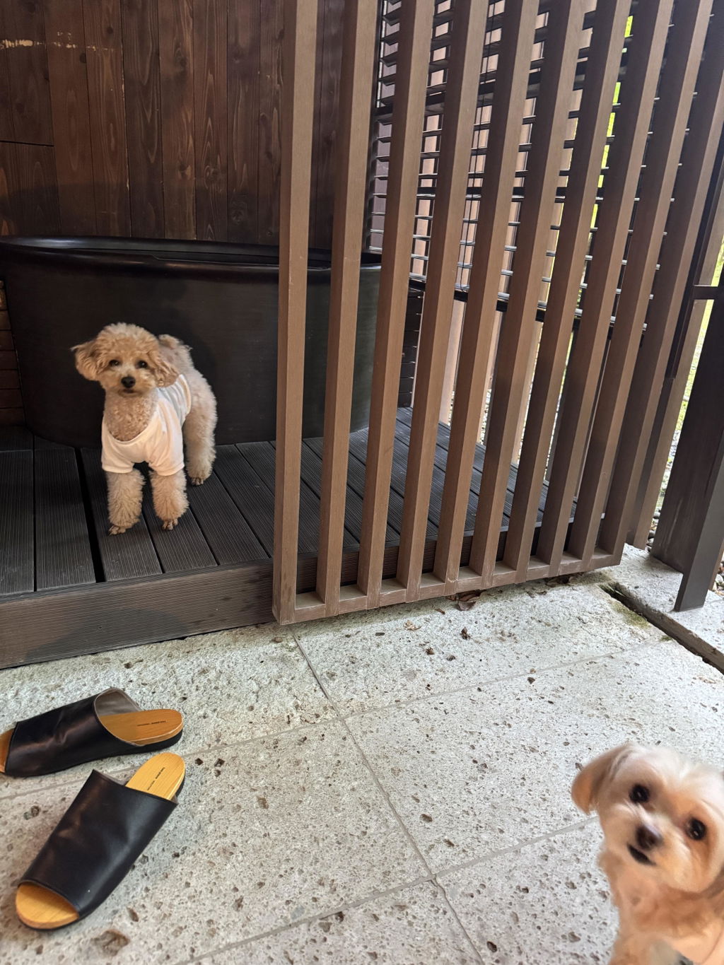 SILKFULL シルクフル 犬用サプリ