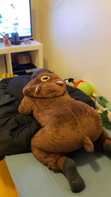 User picture