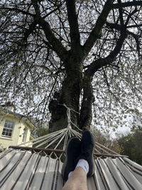 Brasilia Cappuccino Hammock