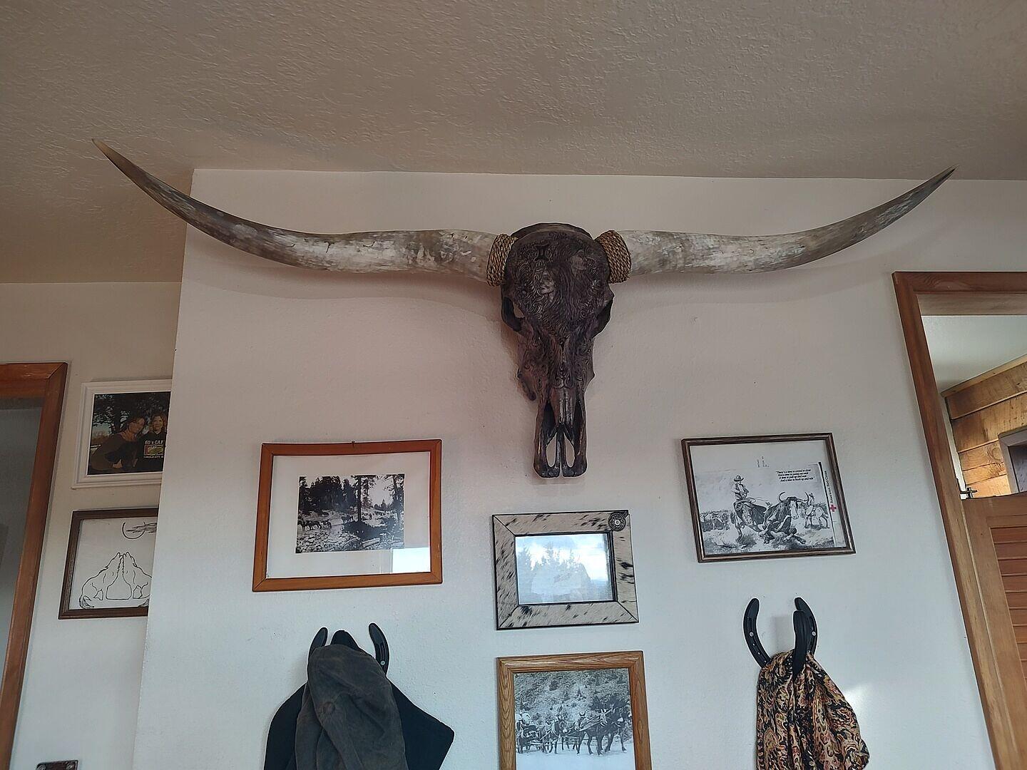 Brown Leather Mount // Standard Longhorns - Trapper – Skull Bliss